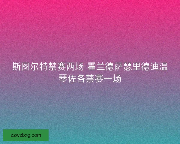 斯图尔特禁赛两场 霍兰德萨瑟里德迪温琴佐各禁赛一场